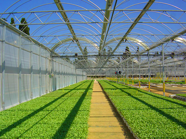 專業(yè)團(tuán)隊